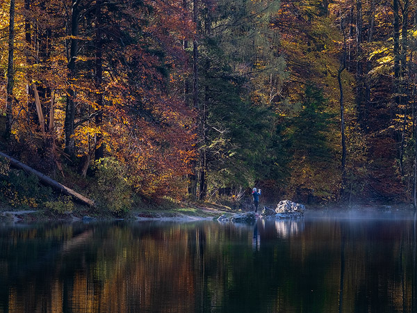 Workshop Herbstfarben Langbathsee